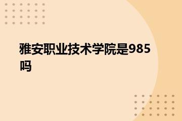 雅安职业技术学院是985吗？
