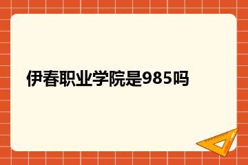 伊春职业学院是985吗？