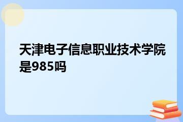 天津电子信息职业技术学院是985吗？