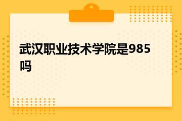 武汉职业技术学院是985吗？