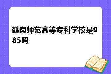 鹤岗师范高等专科学校是985吗？