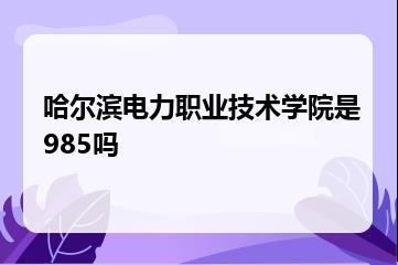 哈尔滨电力职业技术学院是985吗？