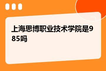 上海思博职业技术学院是985吗？