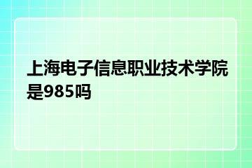 上海电子信息职业技术学院是985吗？