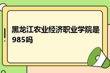 黑龙江农业经济职业学院是985吗？