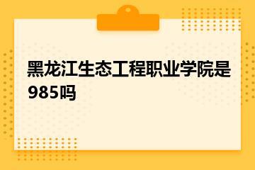黑龙江生态工程职业学院是985吗？