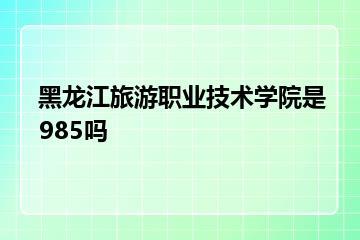 黑龙江旅游职业技术学院是985吗？