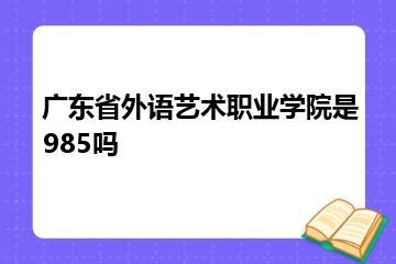 广东省外语艺术职业学院是985吗？