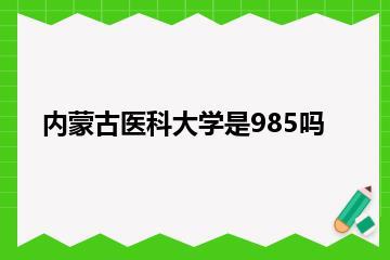 内蒙古医科大学是985吗？