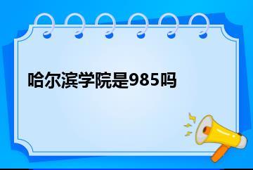 哈尔滨学院是985吗？