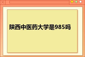 陕西中医药大学是985吗？