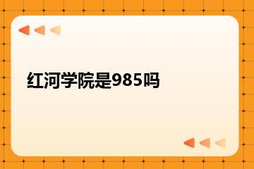 红河学院是985吗？