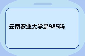 云南农业大学是985吗？