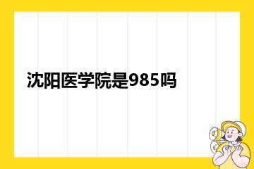沈阳医学院是985吗？