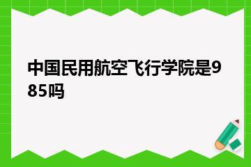 中国民用航空飞行学院是985吗？