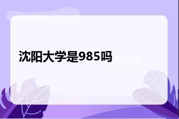 沈阳大学是985吗？