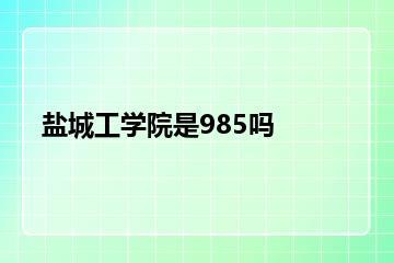 盐城工学院是985吗？