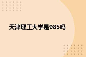 天津理工大学是985吗？