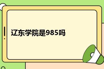 辽东学院是985吗？