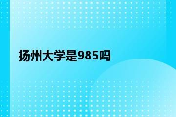扬州大学是985吗？
