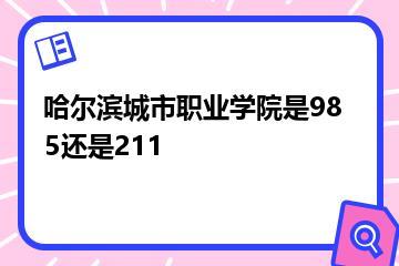 哈尔滨城市职业学院是985还是211？