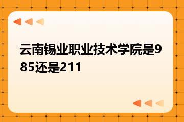 云南锡业职业技术学院是985还是211？