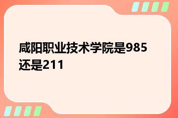 咸阳职业技术学院是985还是211？