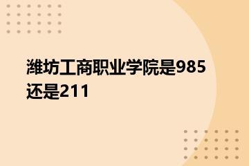 潍坊工商职业学院是985还是211？