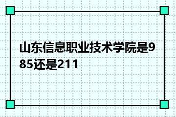 山东信息职业技术学院是985还是211？