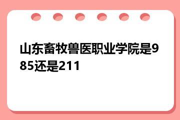 山东畜牧兽医职业学院是985还是211？