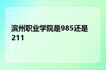 滨州职业学院是985还是211？