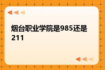 烟台职业学院是985还是211？