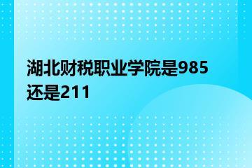 湖北财税职业学院是985还是211？