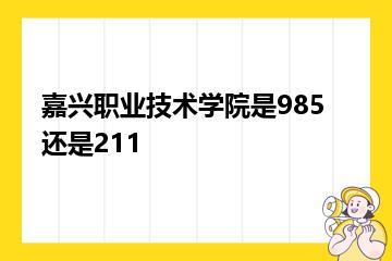 嘉兴职业技术学院是985还是211？