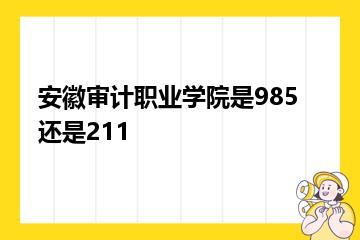 安徽审计职业学院是985还是211？