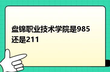 盘锦职业技术学院是985还是211？