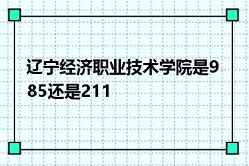 辽宁经济职业技术学院是985还是211？