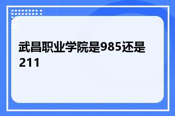 武昌职业学院是985还是211？