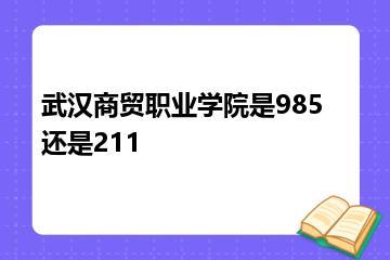 武汉商贸职业学院是985还是211？