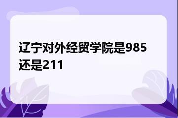 辽宁对外经贸学院是985还是211？