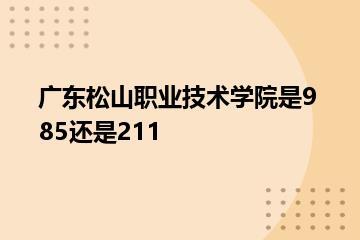 广东松山职业技术学院是985还是211？