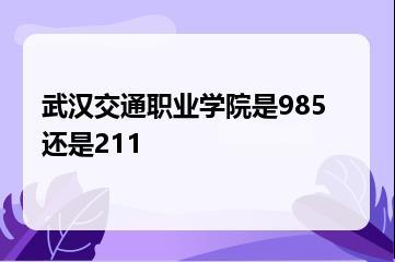 武汉交通职业学院是985还是211？