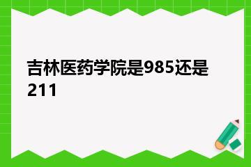 吉林医药学院是985还是211？