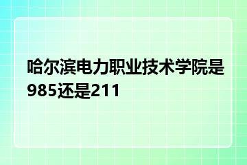 哈尔滨电力职业技术学院是985还是211？