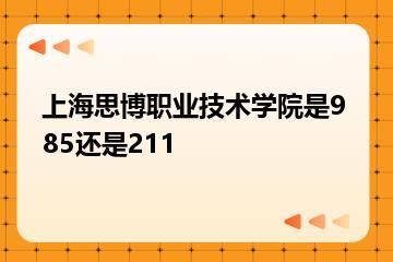 上海思博职业技术学院是985还是211？