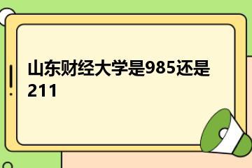 山东财经大学是985还是211？