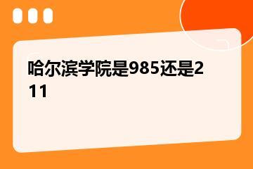 哈尔滨学院是985还是211？