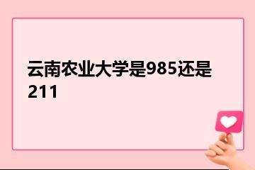 云南农业大学是985还是211？