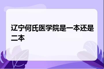 辽宁何氏医学院是一本还是二本？