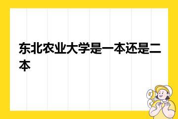 东北农业大学是一本还是二本？